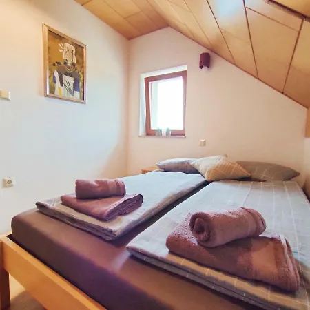 Sovica & Tree House *