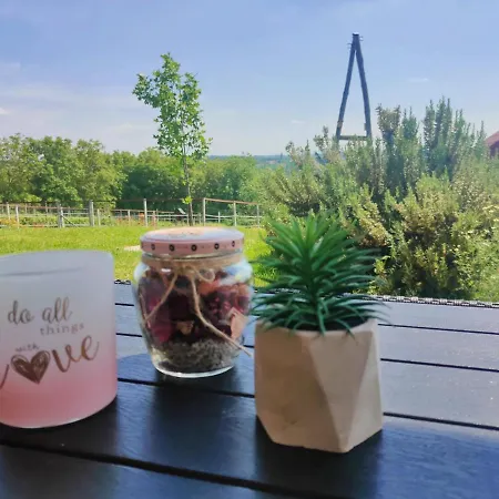 Sovica & Tree House 度假居 Sveti Jurij ob Scavnici
