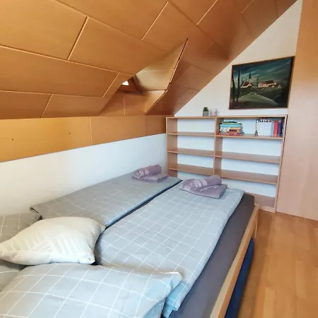 Sovica & Tree House 度假居