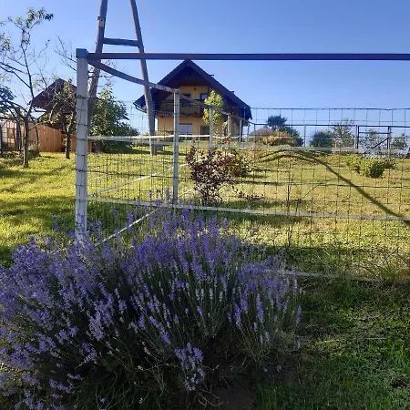 度假居 Sovica & Tree House *