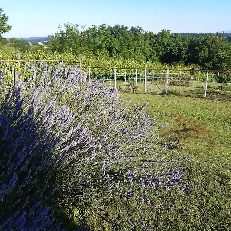 度假居 Sovica & Tree House Sveti Jurij ob Scavnici