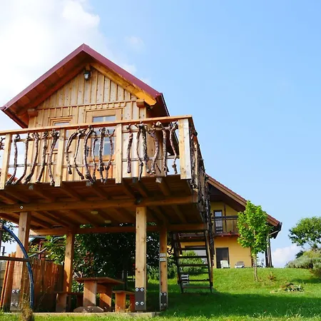 Sovica & Tree House *
