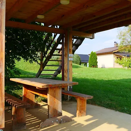 Sovica & Tree House *
